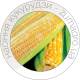 Насіння Кукурудзи