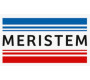 Meristem