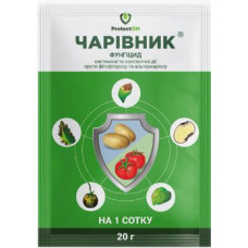 Чарівник з.п. 20г Чарівник з.п. 20г