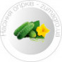 Насіня Огірків (1)