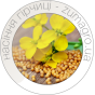 Насіння гірчиці (1)