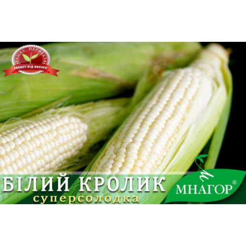 Білий Кролик F1  насіння кукурудзи 1000 насінин, біле зерно 